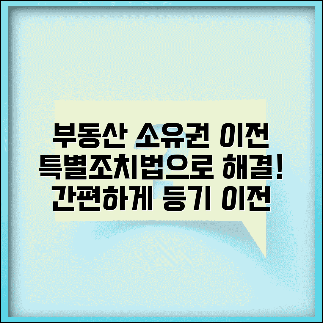 부동산소유권이전등기특별조치법 | 특별조치법 적용 소유권이전