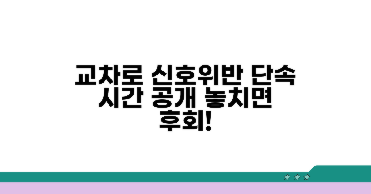교차로 신호위반 단속 시간