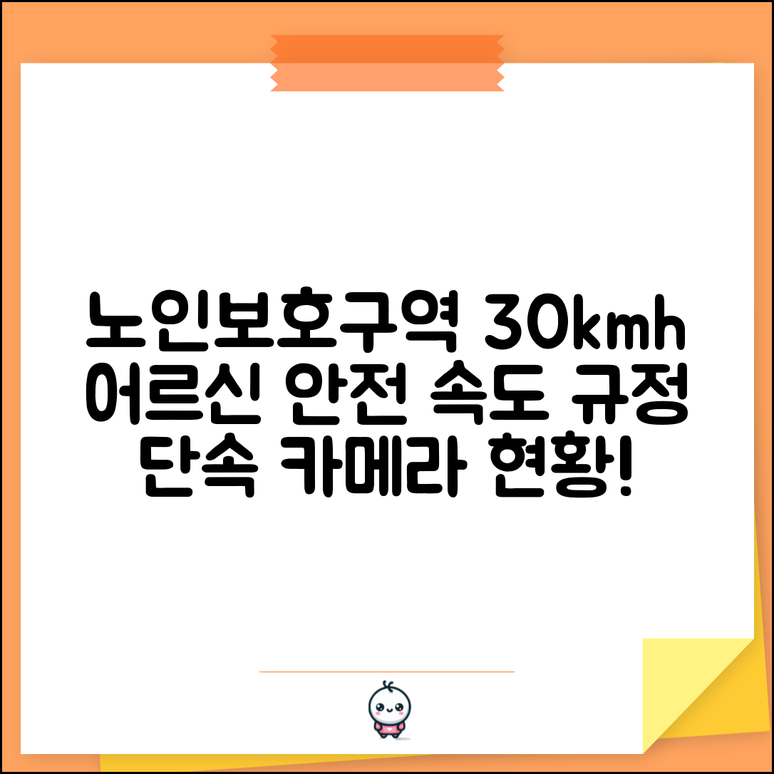 노인보호구역 속도 제한 30km/h | 어르신 안전 위한 속도 규정과 단속 카메라 설치 현황