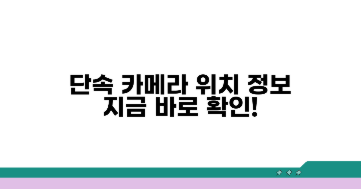 단속 카메라 설치 현황과 단속 정보