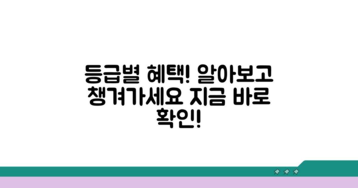 등급별 혜택과 지원 알아보기