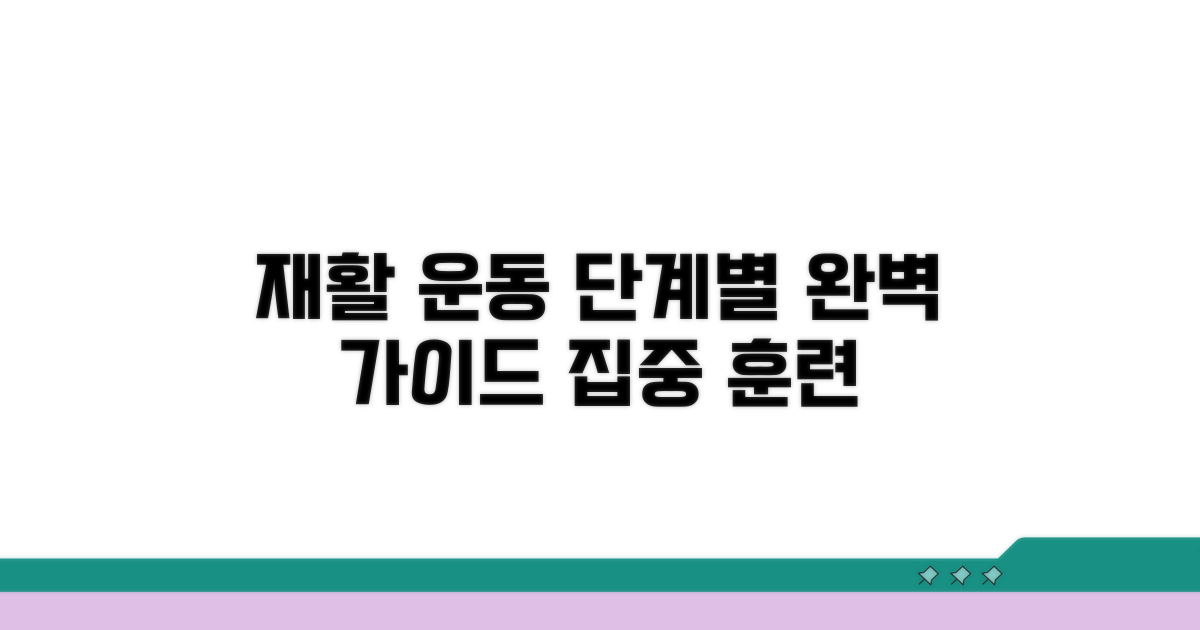 재활 운동, 단계별 완벽 가이드
