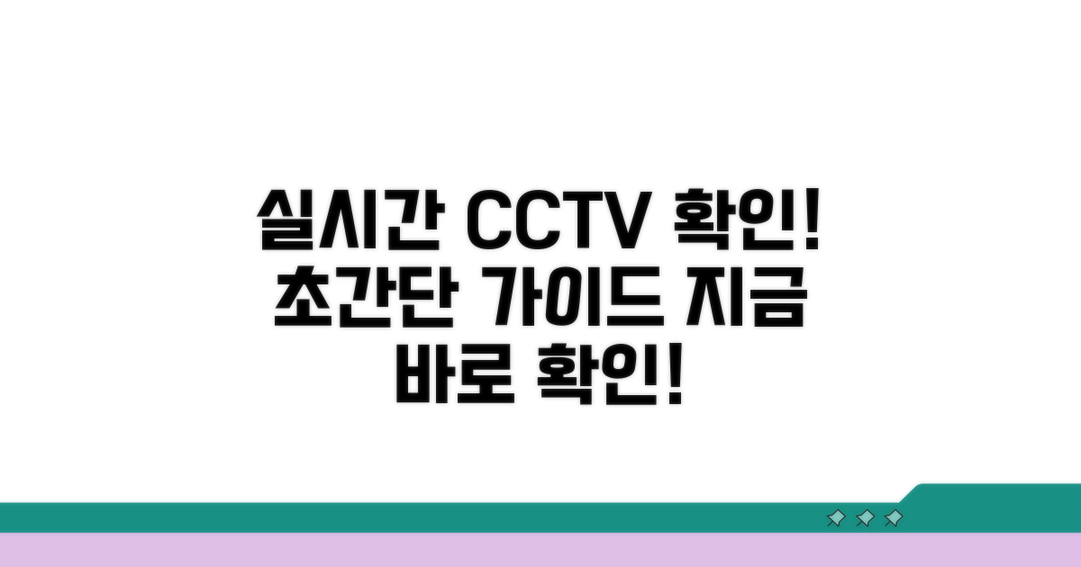실시간 CCTV 확인 방법 쉬운 가이드