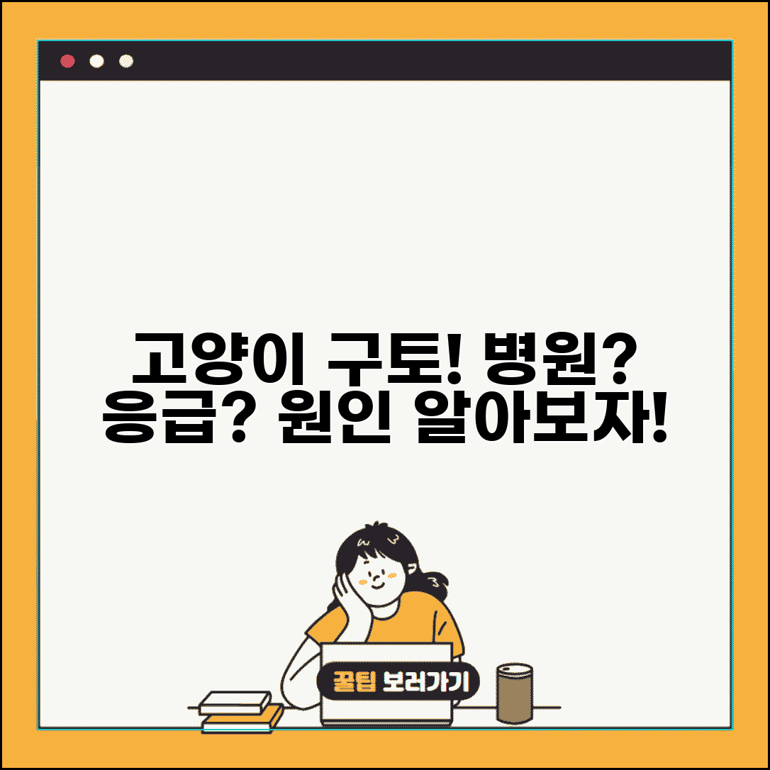 고양이가 계속 구토하는데 병원 가야 하나요 | 고양이 구토 | 응급상황 | 원인