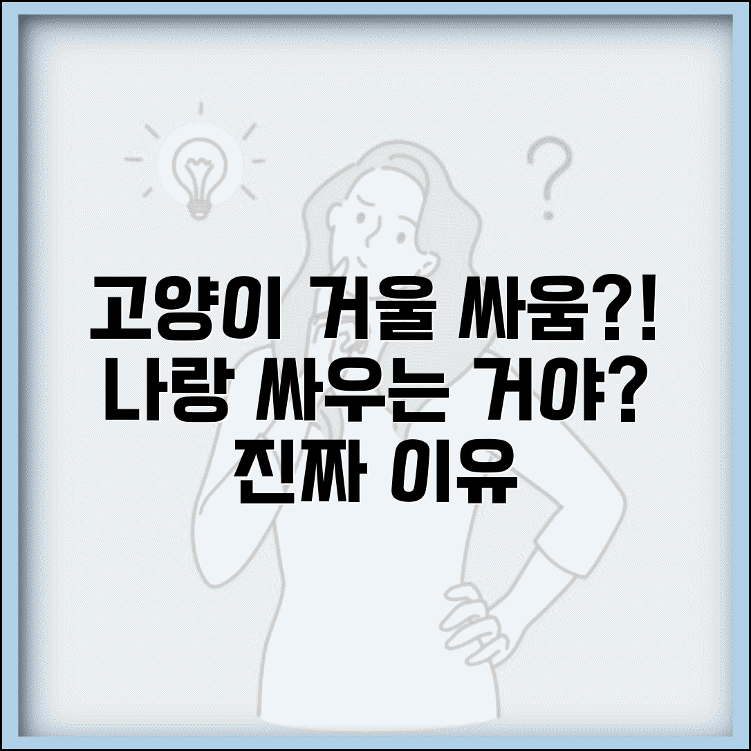 고양이가 거울 보고 싸우는 행동 하는 이유가 뭔가요 | 고양이거울 | 자아인식 | 반응