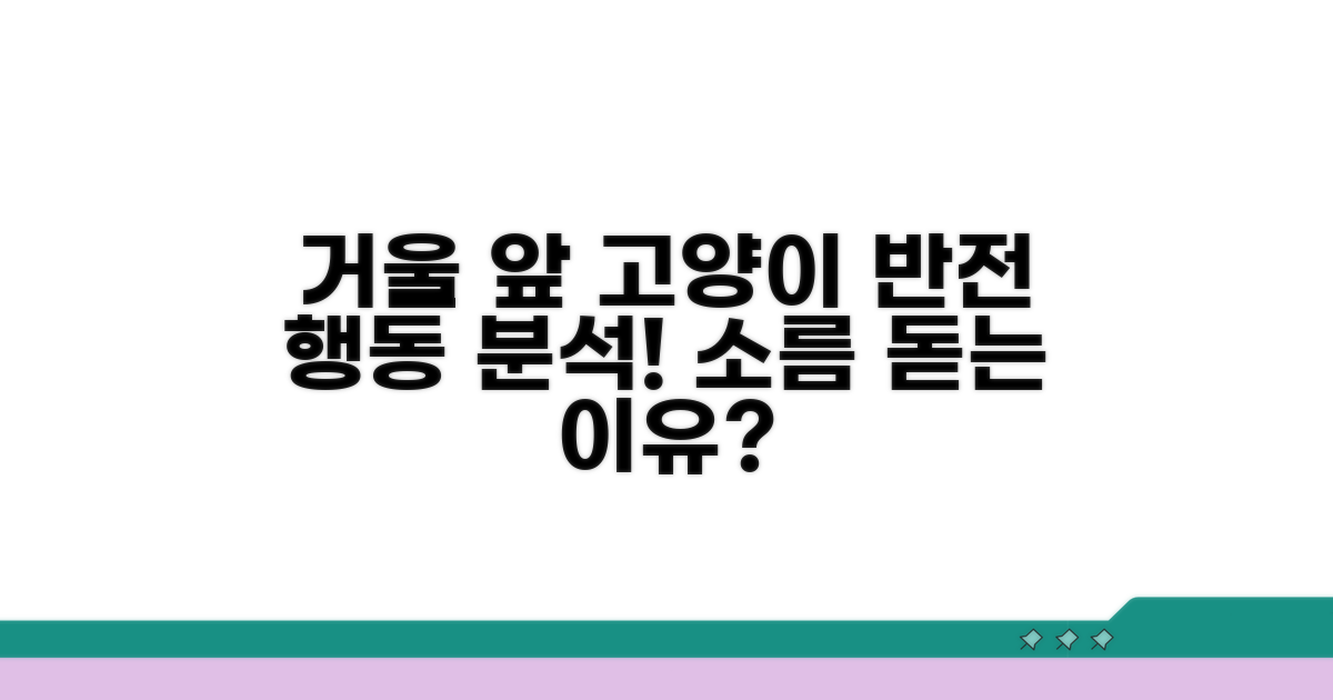 거울 앞 고양이의 이상 행동 분석