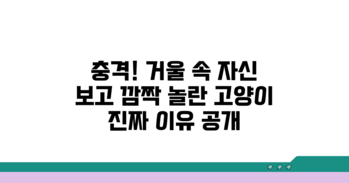 고양이거울 속 자신 놀란 이유