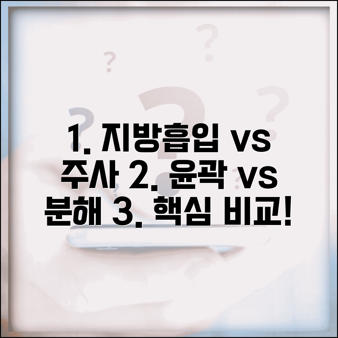지방 흡입 vs 지방 분해 주사 비교 | 지방 흡입 윤곽 주사 차이