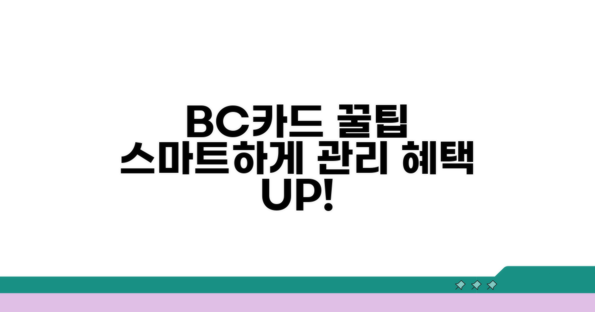 스마트한 BC카드 관리 꿀팁