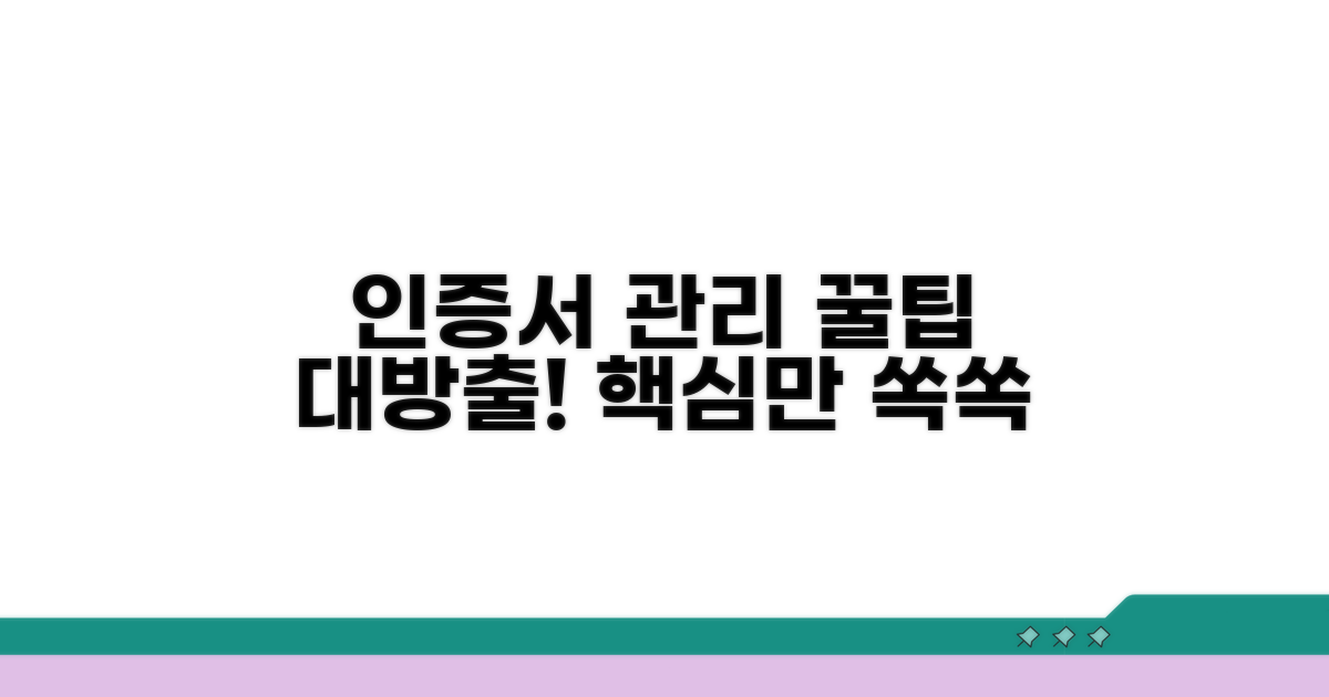 인증서 관리 꿀팁 대방출