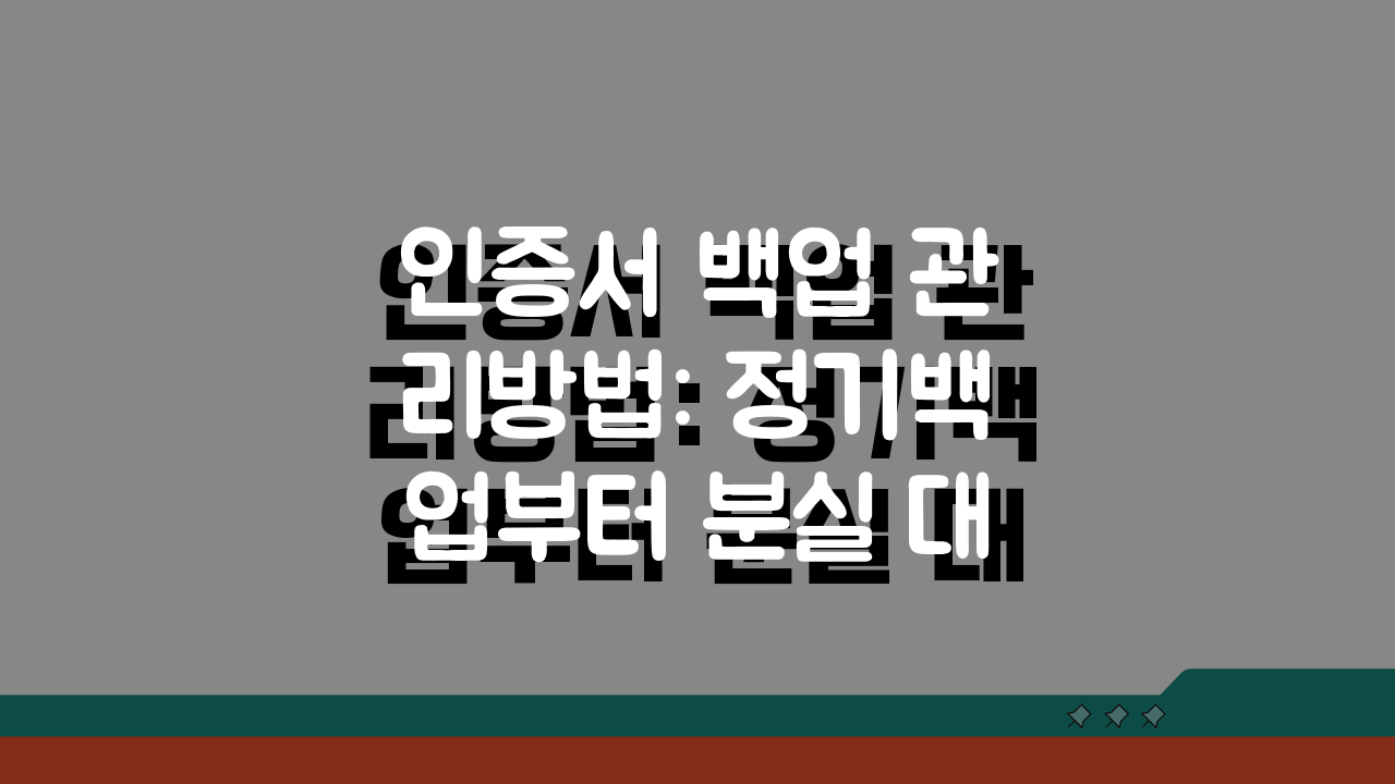 인증서 백업 관리방법: 정기백업부터 분실 대처까지 5단계 완벽 가이드