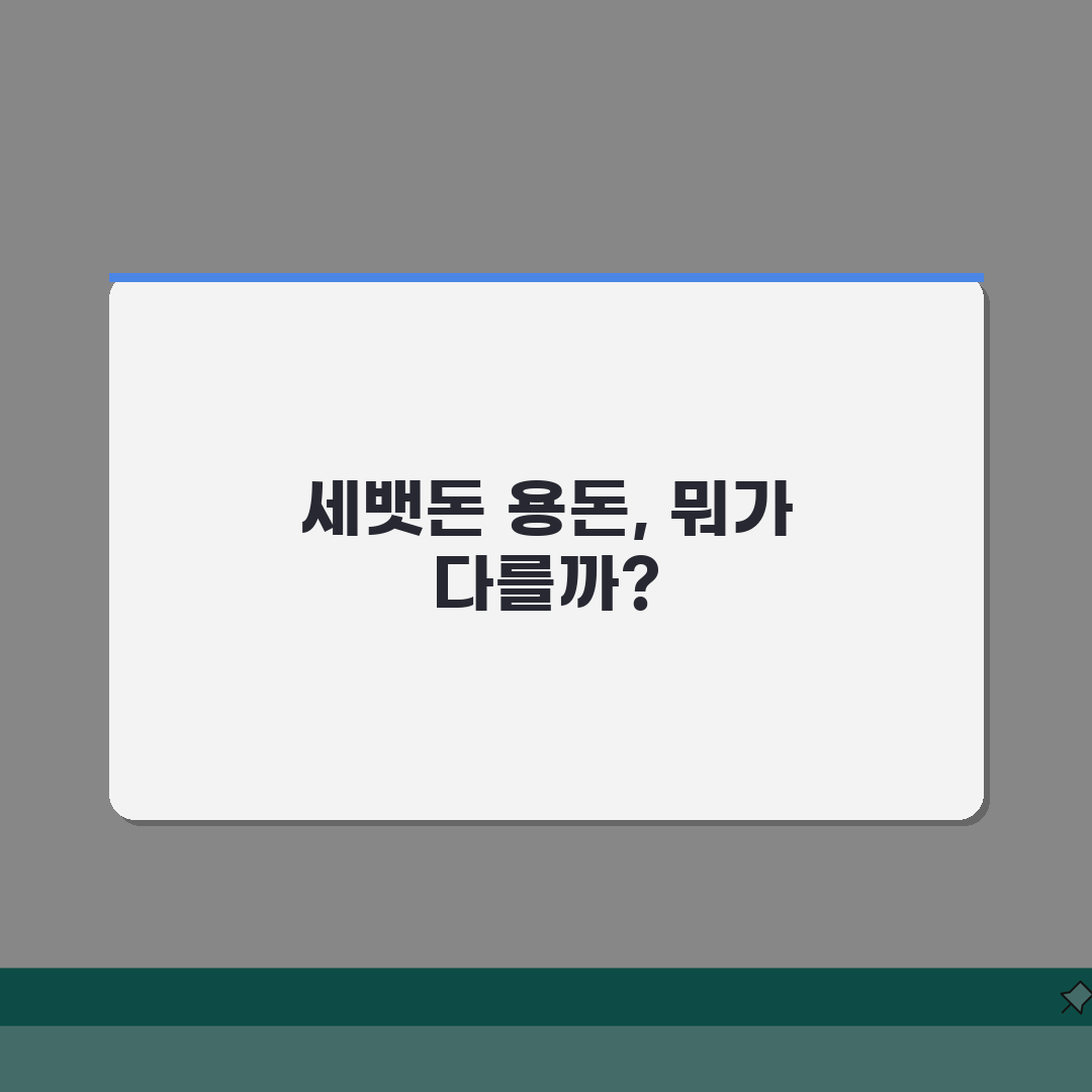 세뱃돈 용돈 차이점 무엇인지 | 세배돈 용돈 구별 완벽가이드: 7가지 핵심 비교