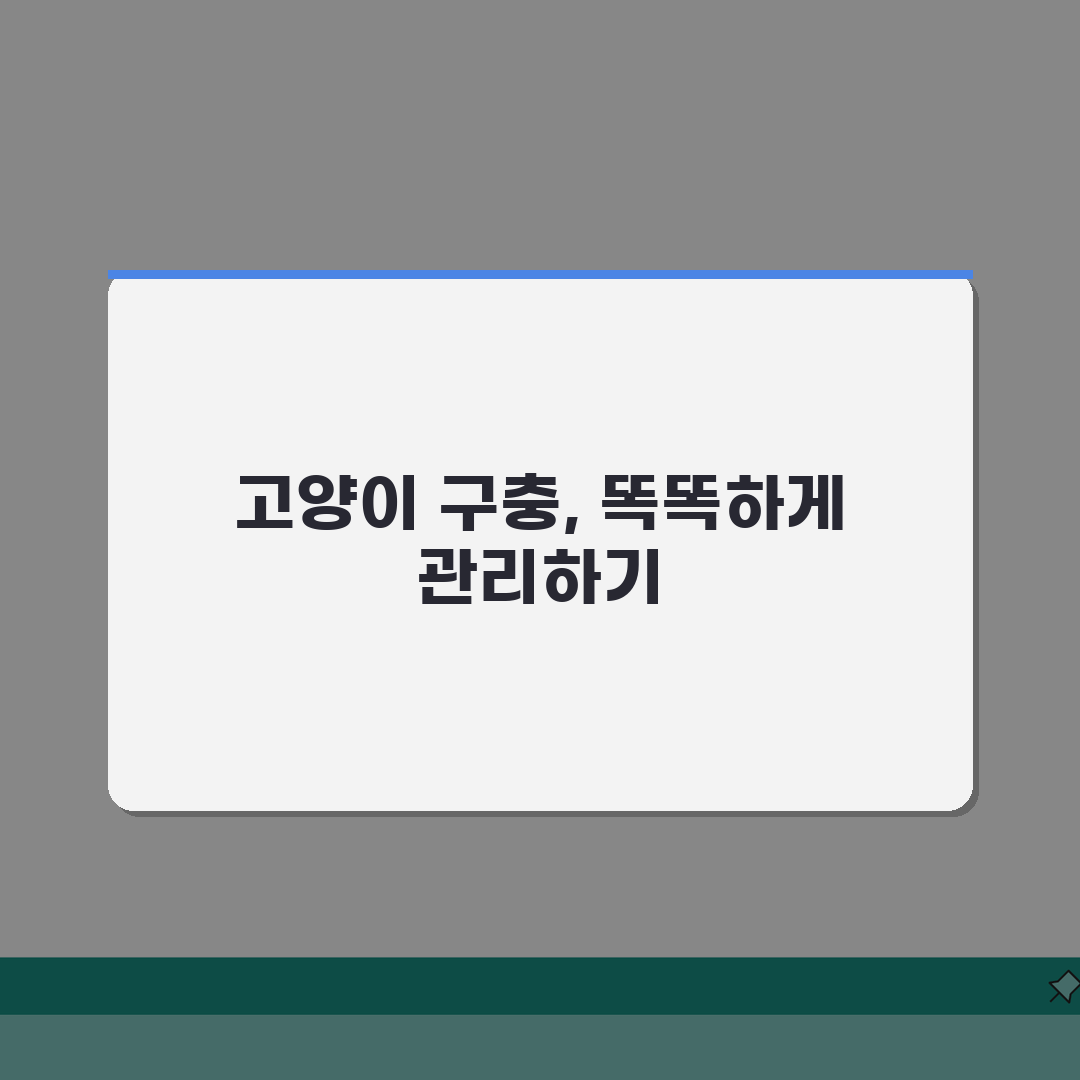 고양이 내부 기생충 구충제 투여 주기 | 고양이 기생충 약 먹이는 법 완벽가이드: 5가지