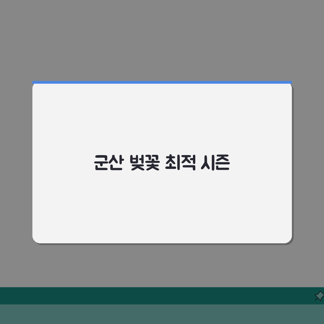 군산 벚꽃 여행가이드 2026 | 은파호수공원/선유도 개화시기 + 드라이브코스 추천!