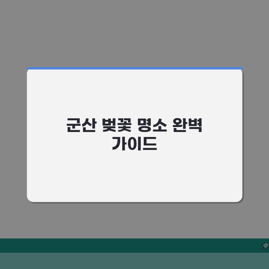 군산 벚꽃 여행가이드 2026 | 은파호수공원/선유도 개화시기 + 드라이브코스 추천!